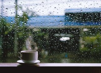 Les 10 meilleures activités pour profiter des journées pluvieuses
