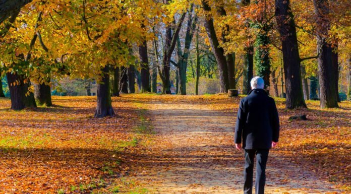 les bienfaits de la marche à pied pour la santé