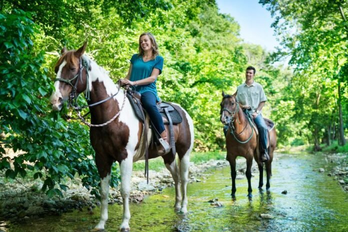 Une échappée majestueuse : une journée de promenade à cheval