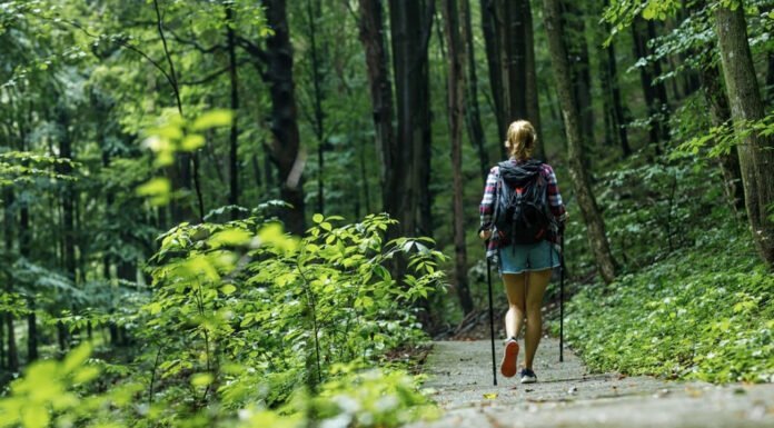 Promenade dans la nature