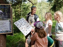 L'Éducation à la Nature : Un Impératif Pour Nos Sociétés Modernes