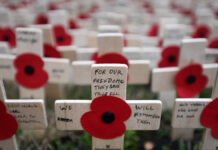Le Jour de l'Armistice : Commémoration d'un Moment Historique