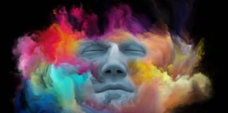 Les Psychédéliques : Retour en Force ou Renaissance d'une Culture Hippie ?