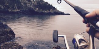 Le mois d'octobre : la saison de pêche est-elle réellement terminée ?