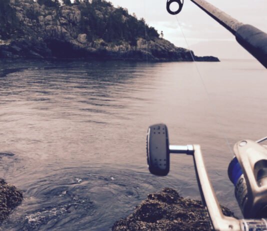 Le mois d'octobre : la saison de pêche est-elle réellement terminée ?