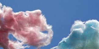 La Barbe à Papa : Une douceur notre de enfance