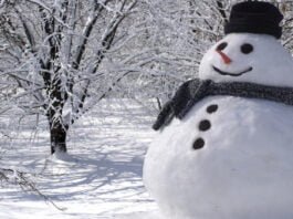 Légendes Glacées : La Fascinante Histoire des Bonhommes de Neige
