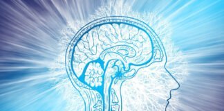 Les prodiges du cerveau humain : Au-delà de la limite
