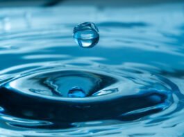 L'Eau, source miraculeuse de jeunesse et de vitalité