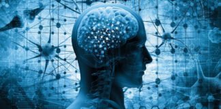 Améliorer l'apprentissage : Stratégies pour un cerveau plus performant