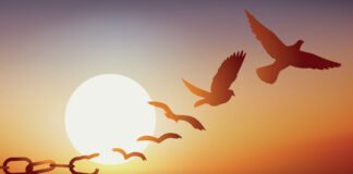 L'art de vivre avec passion et de repousser vos limites
