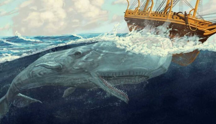 Le message et l'histoire réelle derrière le roman Moby-Dick
