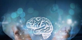 Comment Protéger son Cerveau contre les Ravages du Temps