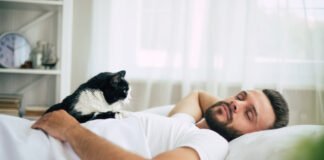 Pourquoi Votre Chat Adore Squatter Votre Lit !