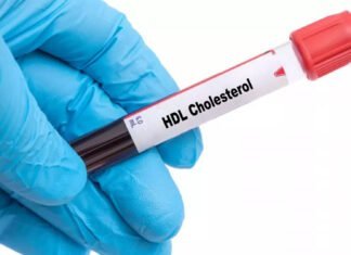 Cholestérol HDL : Votre Allié Secret pour un Cœur en Santé !
