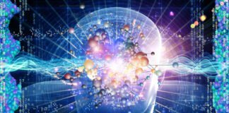 Le Cerveau: Une Bibliothèque de Pétaoctets