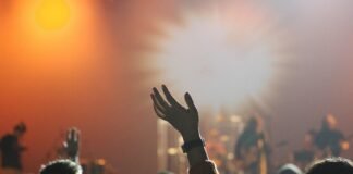 Vibrations Partagées: La Magie des Concerts en Direct