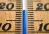 Le Thermomètre de la Vie: 20°C, un Seuil Vital