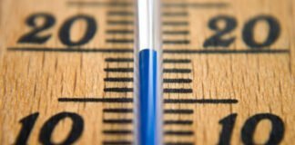 Le Thermomètre de la Vie: 20°C, un Seuil Vital
