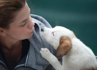 Le chien comprend-il vraiment le langage humain ?