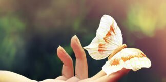 La Sensibilité : Atout ou Faiblesse ? Un Dilemme Émotionnel