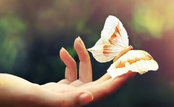 La Sensibilité : Atout ou Faiblesse ? Un Dilemme Émotionnel
