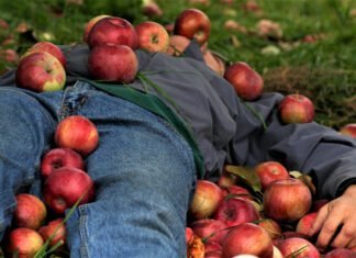 Pourquoi on tombe dans les pommes ?