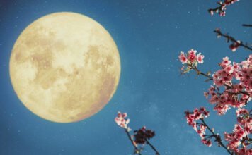 La Lune et Nous: Mystères Lunaires et Mythes Humains