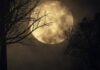 Les effets de la pleine Lune : mythes et réalités scientifiques