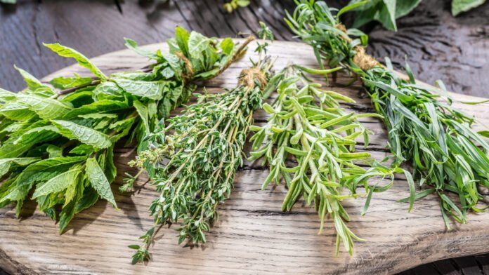 Les Secrets des Herbes Aromatiques