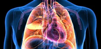L'Impact des Boissons Énergisantes sur le Cœur