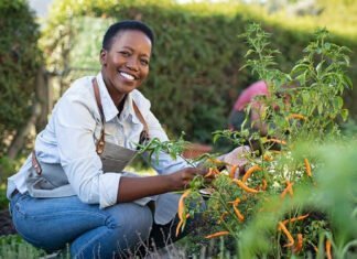 Cultivez votre Bien-Être avec l'Horticulture