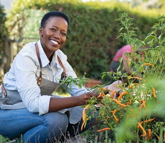 Cultivez votre Bien-Être avec l'Horticulture