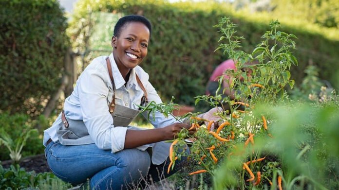 Cultivez votre Bien-Être avec l'Horticulture