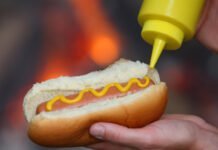 Les Délices de l'Histoire du Hot-Dog