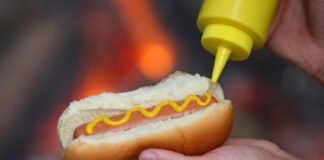 Les Délices de l'Histoire du Hot-Dog