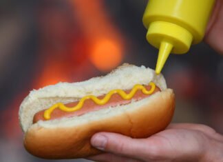 Les Délices de l'Histoire du Hot-Dog