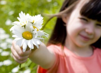 Le Bonheur est dans les Petites Lueurs du Quotidien