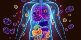 Le stress sabote nos défenses immunitaires