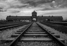 80e anniversaire de la libération d'Auschwitz