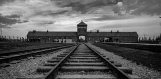 80e anniversaire de la libération d'Auschwitz