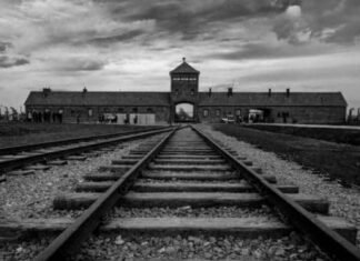 80e anniversaire de la libération d'Auschwitz