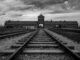 80e anniversaire de la libération d'Auschwitz