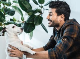 Anthropomorphisme : délire ou tendresse ?