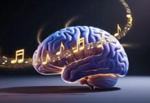 Pourquoi votre cerveau adore la musique (et il a raison !)