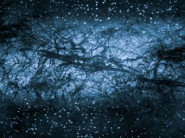 L’énergie sombre en déclin : la fin d’une éternelle expansion de l'Univers ?